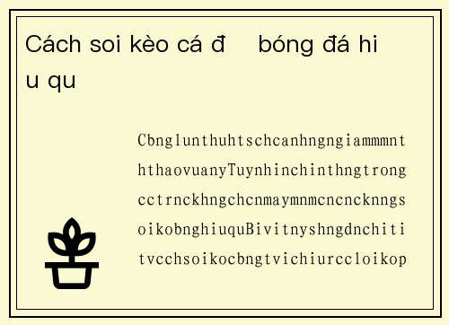 Cách soi kèo cá độ bóng đá hiệu quả