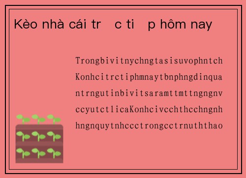 Kèo nhà cái trực tiếp hôm nay