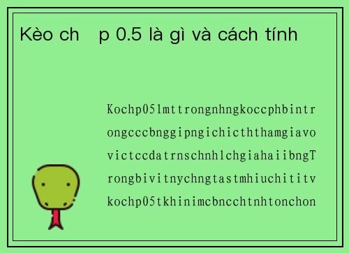 Kèo chấp 0.5 là gì và cách tính